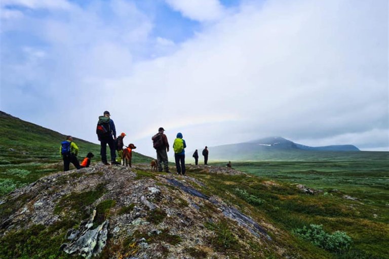 Fjelltur