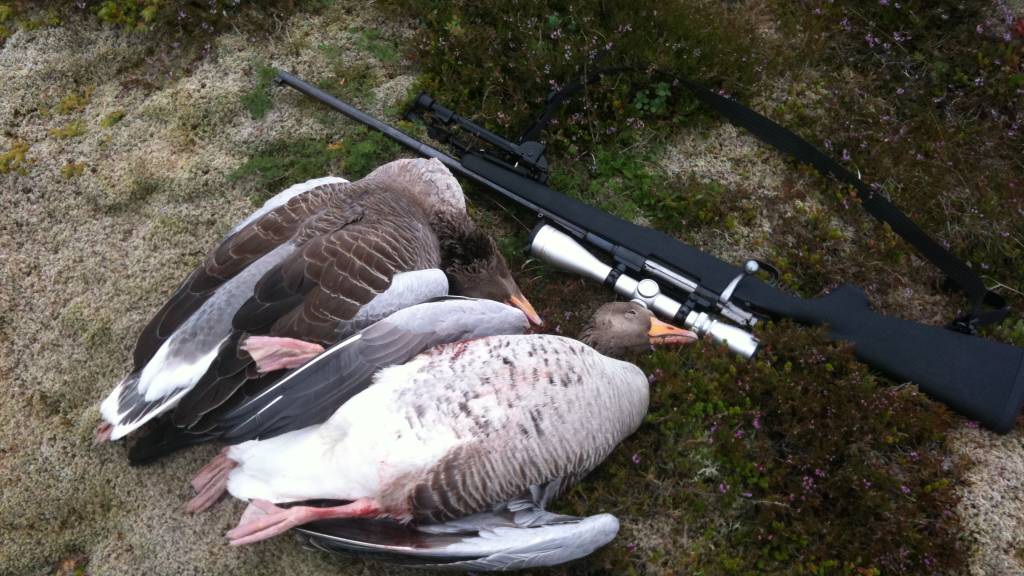Jegerprøvekurs på Nesna