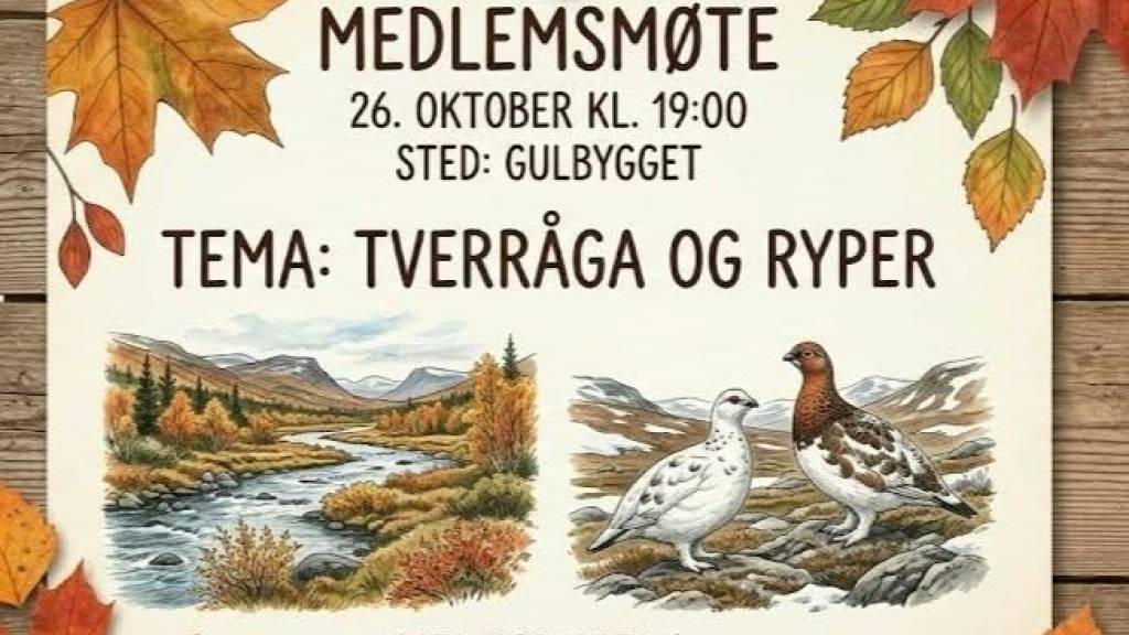 Medlemsmøte
