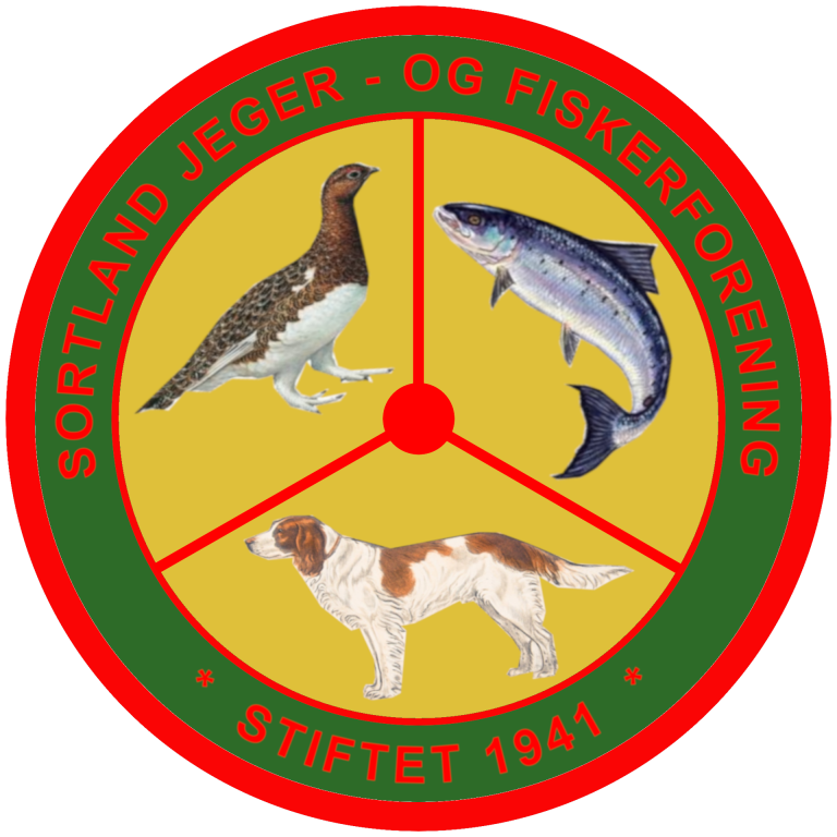 Logo sjff png.png