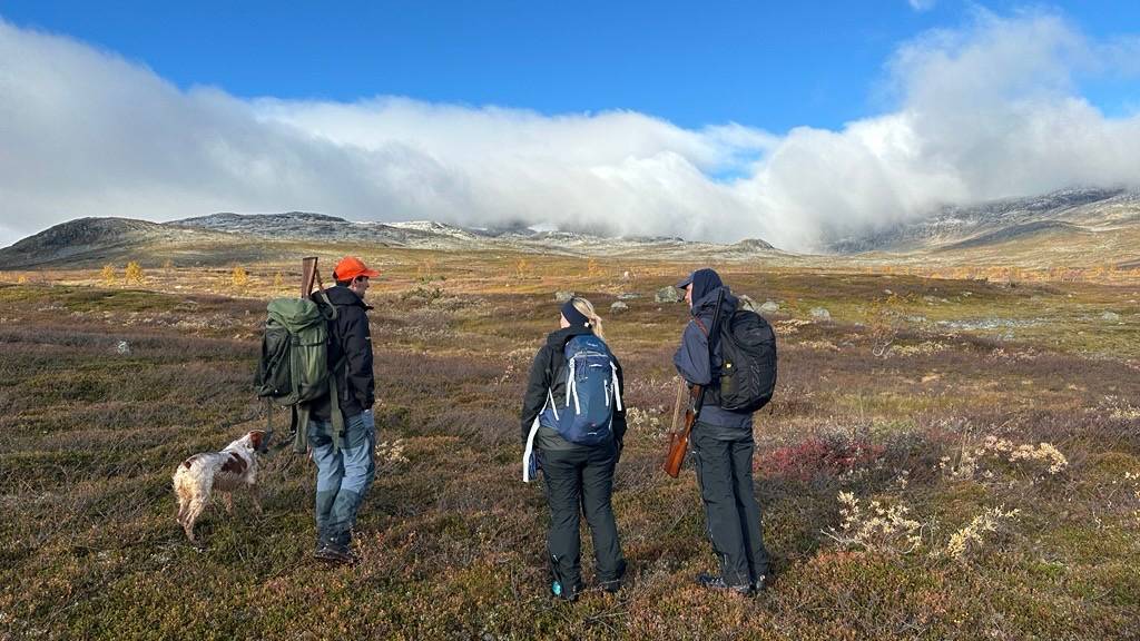 Bli med på rypejakt med hund