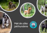 Presentasjon av jakthunder