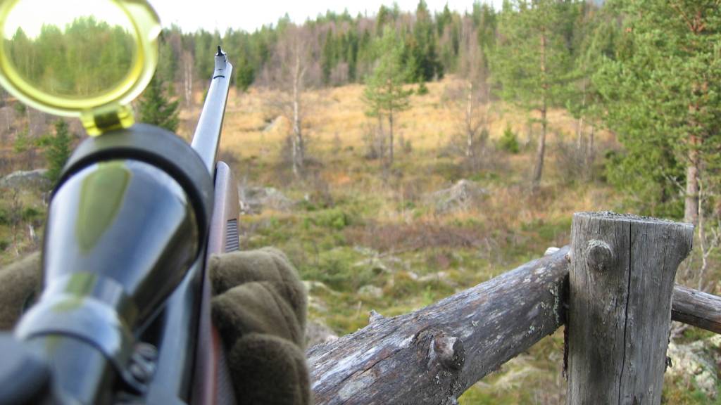 Harejakt for jakt-, fiske- og friluftsskolen