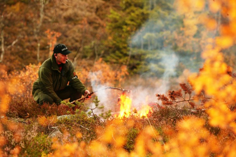 Elgjakt-Setesdal-NJ-04852-Foto_Torgeir__W._Skancke.JPG