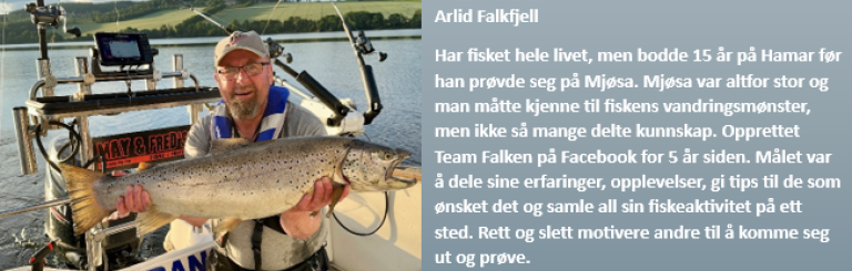 Arild Falkfjell.png
