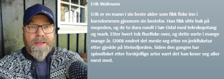 Erik Walmann.png