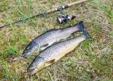 Fiskesommer