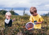 Jakt og fiskeskole: sopp og bærtur (matkurs)