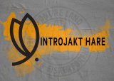 Introjakt Hare