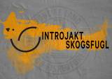 Introjakt Skogsfugl