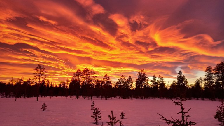 TotenLoddnr2_RosaHimmel.jpg