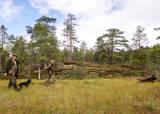 Jakthund unghundkurs