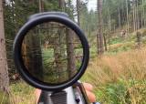 Bukkejakt for jegere i alderen 18-26 år - 11.08