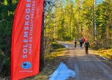 Fra sentrum til marka