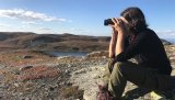 Lene Dieserud speider etter reinsdyr på Reinsjøfjell i 2018.