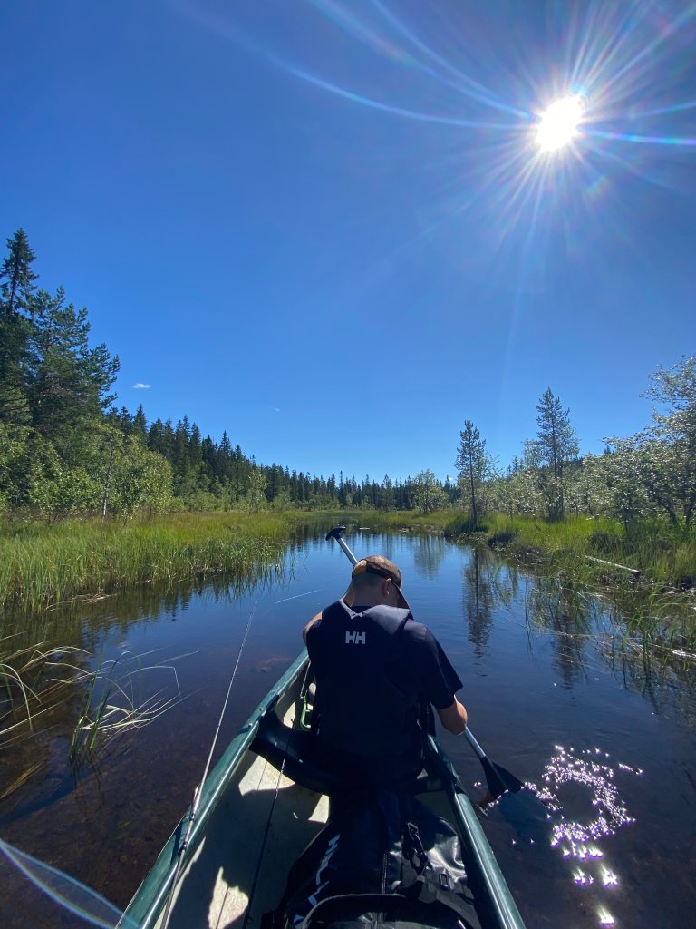 Stille padling i solskinn