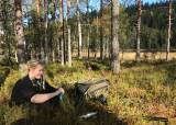 Småviltjakt-Speismark ØJFF - 19-09-2025