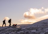 Vintertrening hund høyfjell 15 – 17 mars