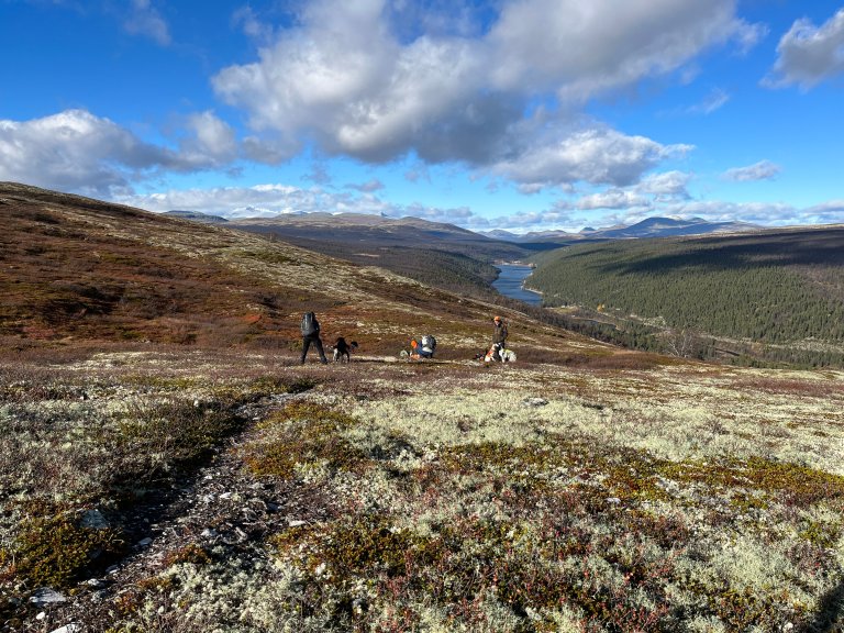 høyfjellet er noe for seg selv....