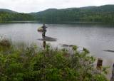 Sommerfiskecamp