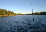 FISKESOMMER