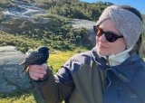 Ringmerking av fugler