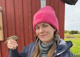 Ringmerking på Akerøya