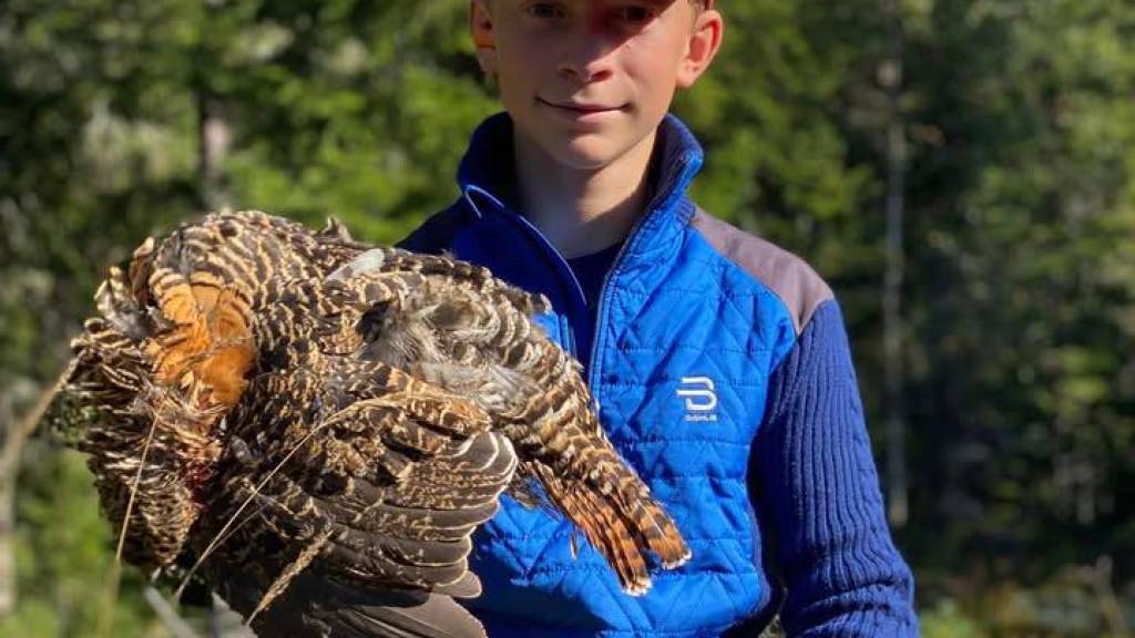 Skogsfugljakt til Grue for ungdom (14-17 år)