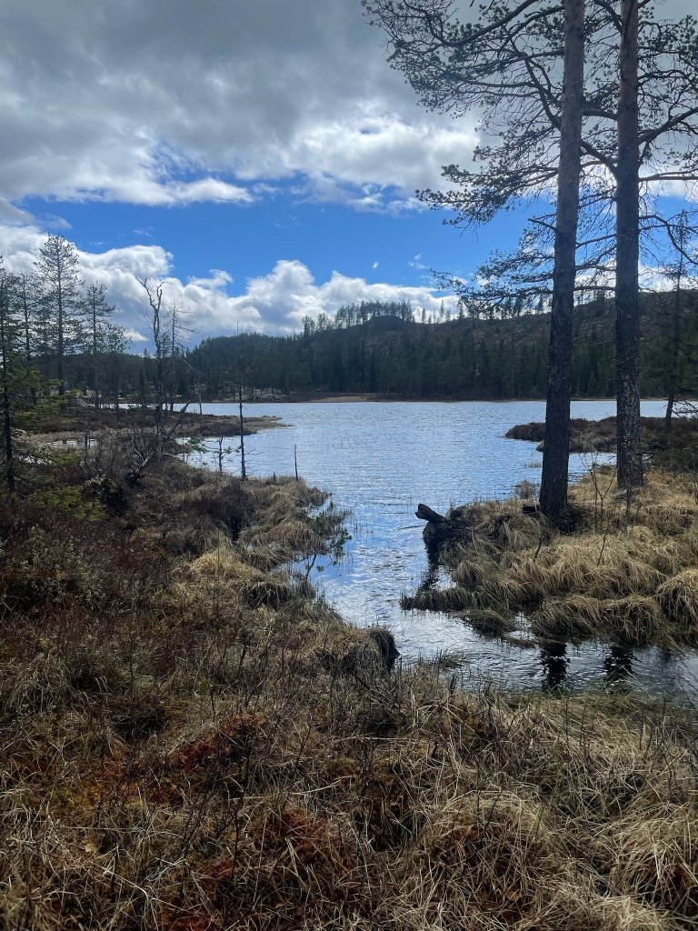 fiskevann