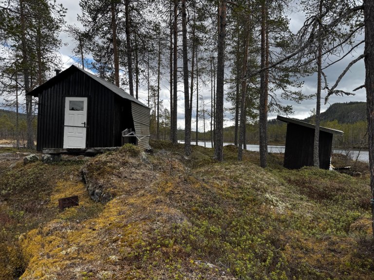 bilde av koia