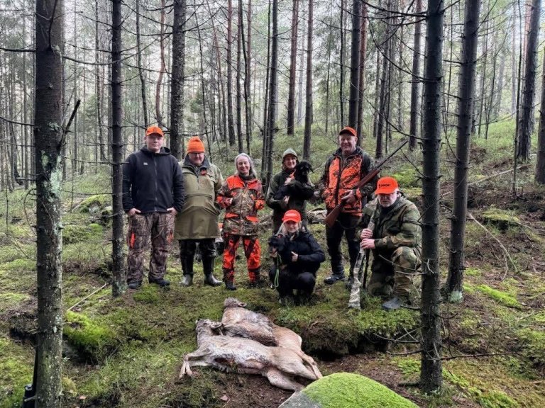 Rådyrjakt i Skogland 2025