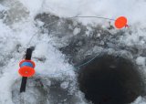 JOFS Isfiske 05.02.23 avlyst grunet tynn is. Blir tur i skogen isteden