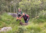 Klubbmesterskap apport 14.07.25