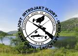 Introjakt Hjort - Storrsheia