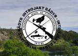 Introjakt rådyr - Gravdal