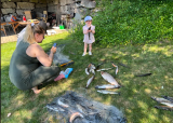 Fiskesommer