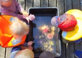 Familiedag med strandkrabbefiske og grilling 13.07.25