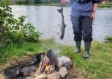 Laksefiske i Bjerkreimsvassdraget 27.06.26
