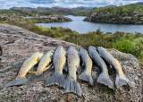 Familiedag ved Branndalsvatnet 06.09.26