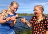 FISKESOMMER