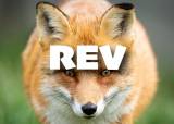 Temakveld: REV