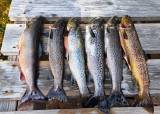Fisketur