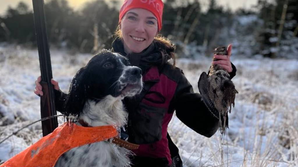 Introjakt rugdejakt med stående fuglehund 1