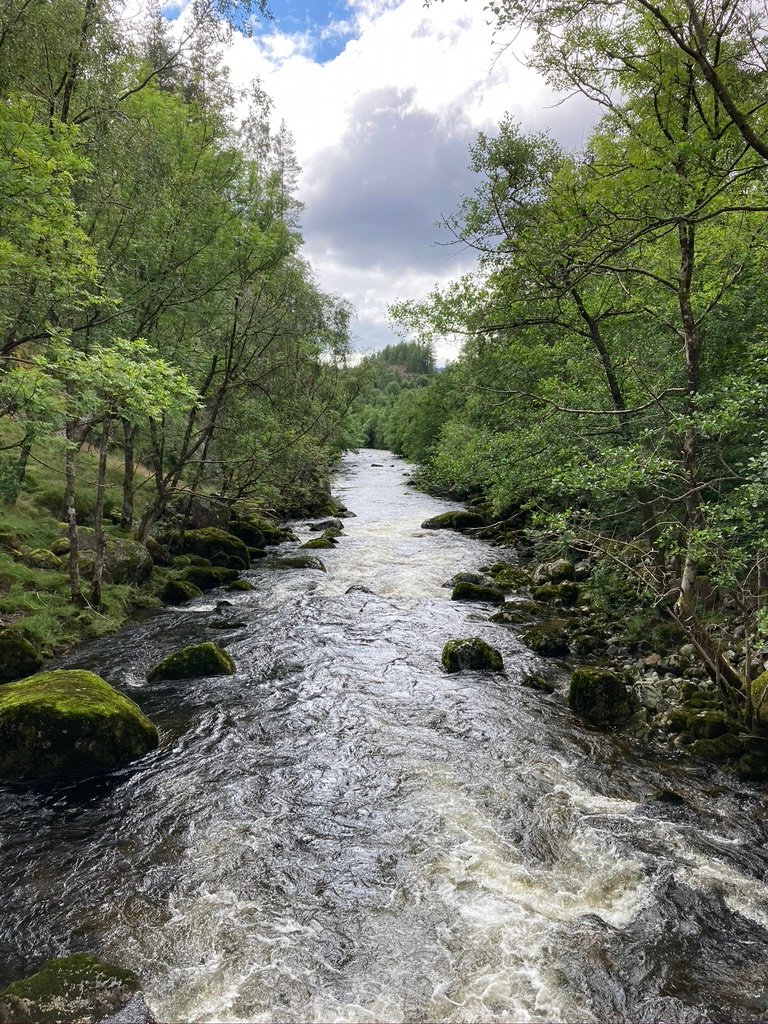 Hålandselva (foto Erik Waage)