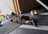 Rifleskyting for kvinner 26-08-25