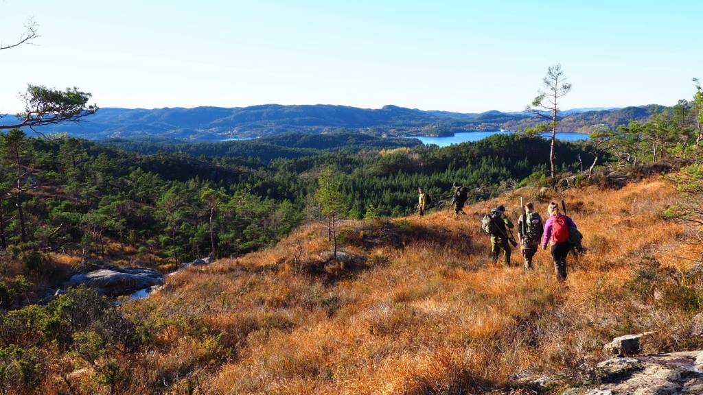 Introjakt - Hjort og rådyr