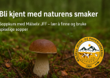 Soppkurs