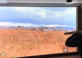 Klubbkveld for damer &  skytesimulator