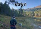 Jegerprøve Stryn