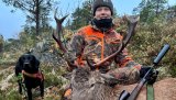 Hjortebukk skutt under introjakt på Songli, Orkanger høsten 2024